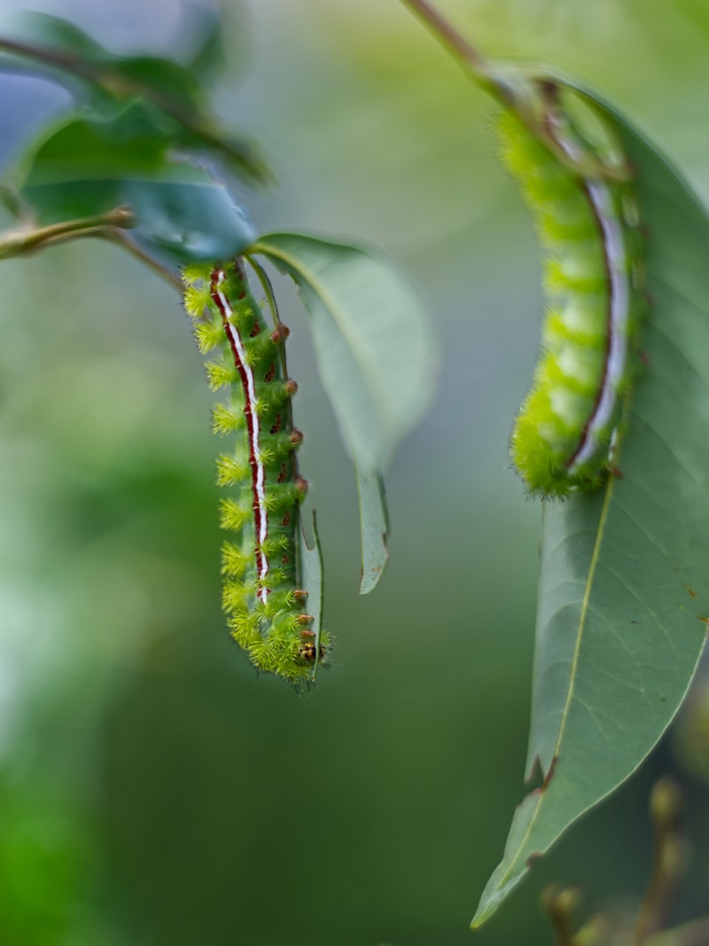Caterpillar arıza kodları