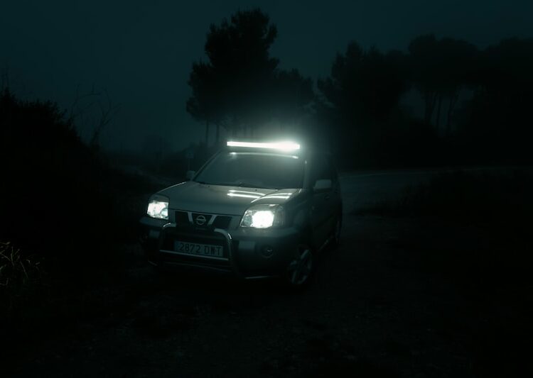 Dacia ikaz lambaları anlamları